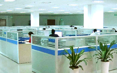 河南雙誠技術(shù)部增添綠植，提升辦公環(huán)境